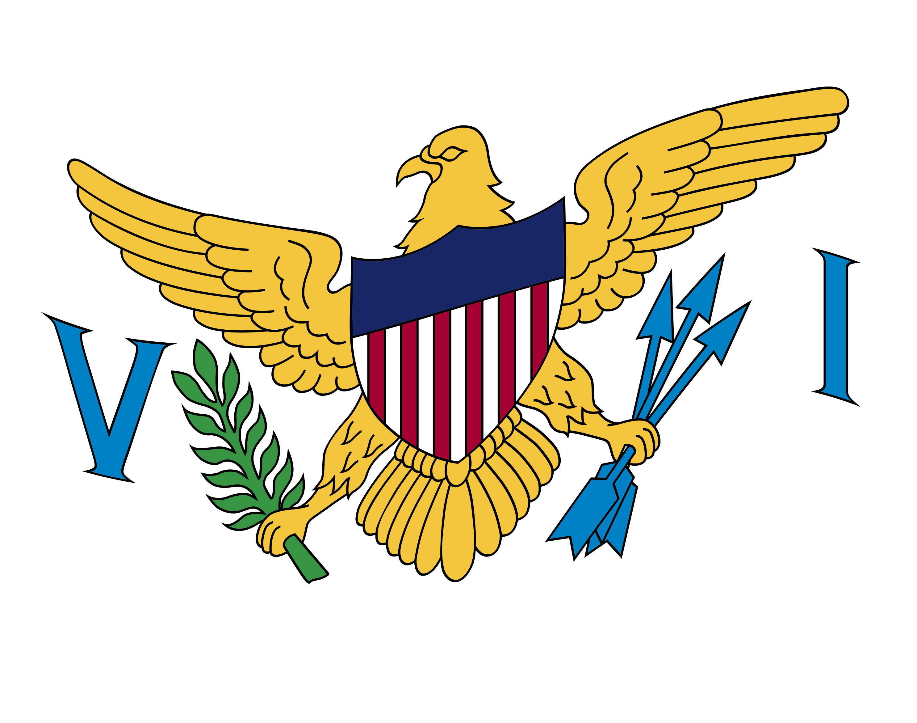 US_Virgin_Islands_Waving_Flag-2 (1)