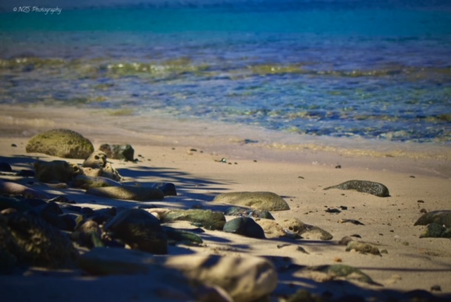 Smooth rocks and sandy beach, St. Thomas (Photo: Nour Suid)