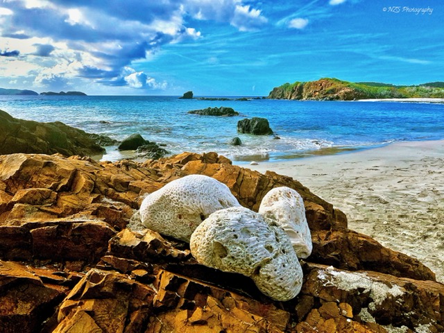 Coral, rocks, sand, and beach in St. Thomas. (Photo: Nour Suid)